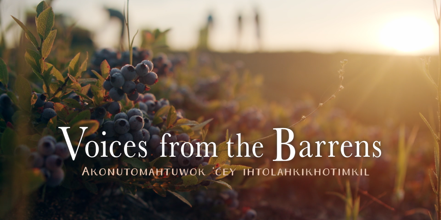 Voices from the barrens